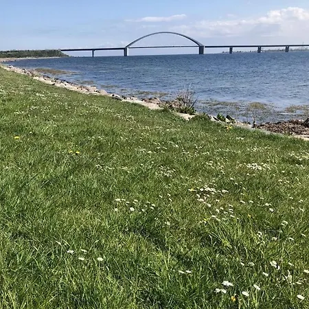 Baltic Sea Breeze